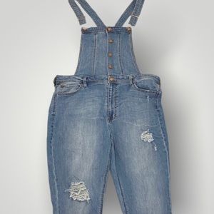 FASHION NOVA SKINNY JEAN OVERALLS